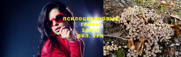 ешки Нея