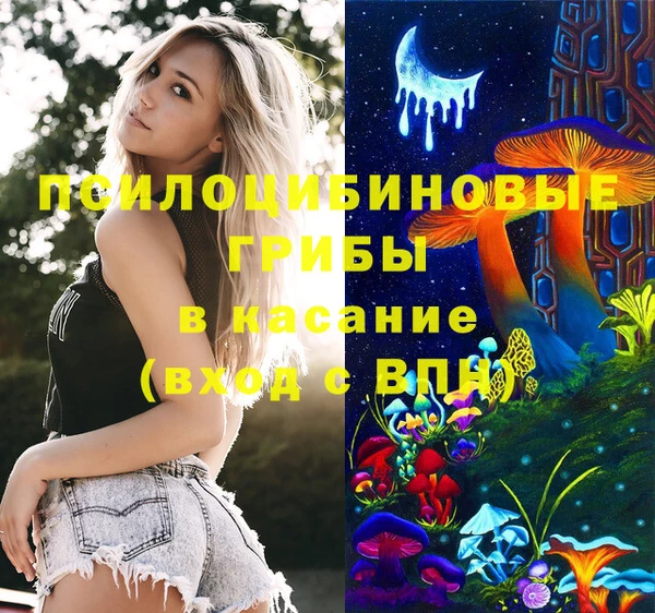 a pvp Надым