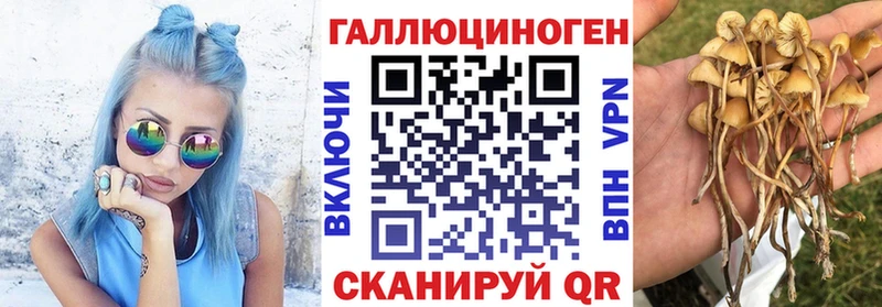 Купить  Петровск  Псилоцибиновые грибы MAGIC MUSHROOMS 