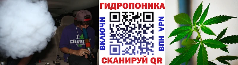 Бошки марихуана ГИДРОПОН  Купить закладки  Петровск 